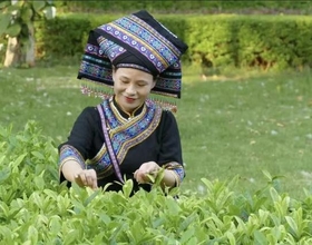 广西都是壮族人吗？