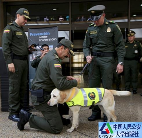 dfd59e09-ddf0-4c8e-a95b-45d7c4b8936c-d.jpeg