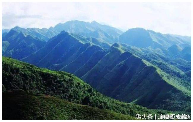 下载 (11).jpeg