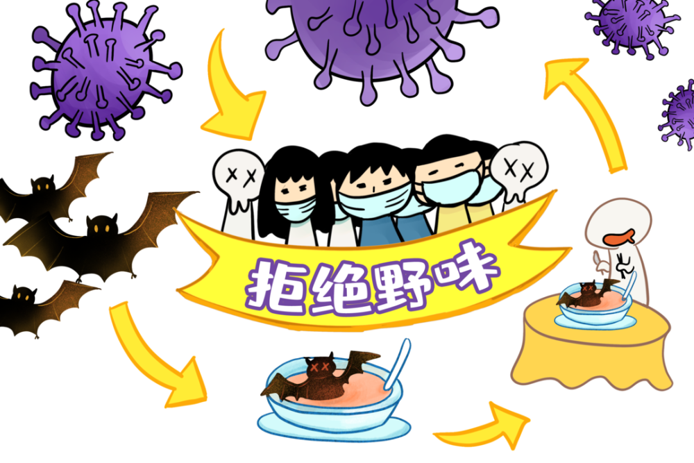 1000 (5).png