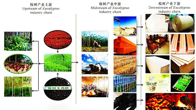 下载 (7).jpeg