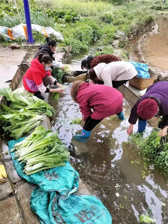 下载 (1).jpeg