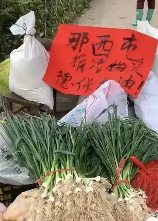 下载 (3).jpeg