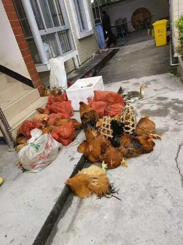 下载 (4).jpeg