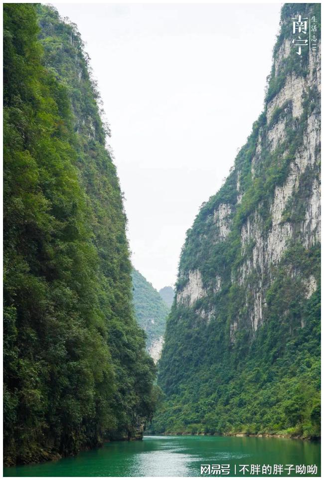 下载 (55).jpg
