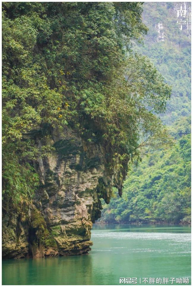 下载 (54).jpg