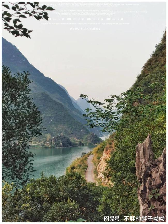 下载 (35).jpg