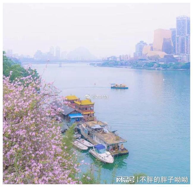 下载 (14).jpg