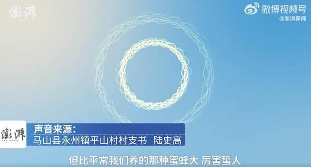 ef44-50a0adab58ba42e28bf47acf5f9c19c2.jpeg