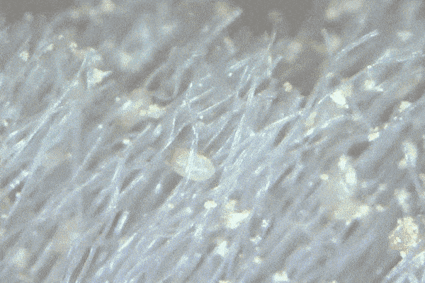 58c3f5a243f7500593853104c1ac64be.gif